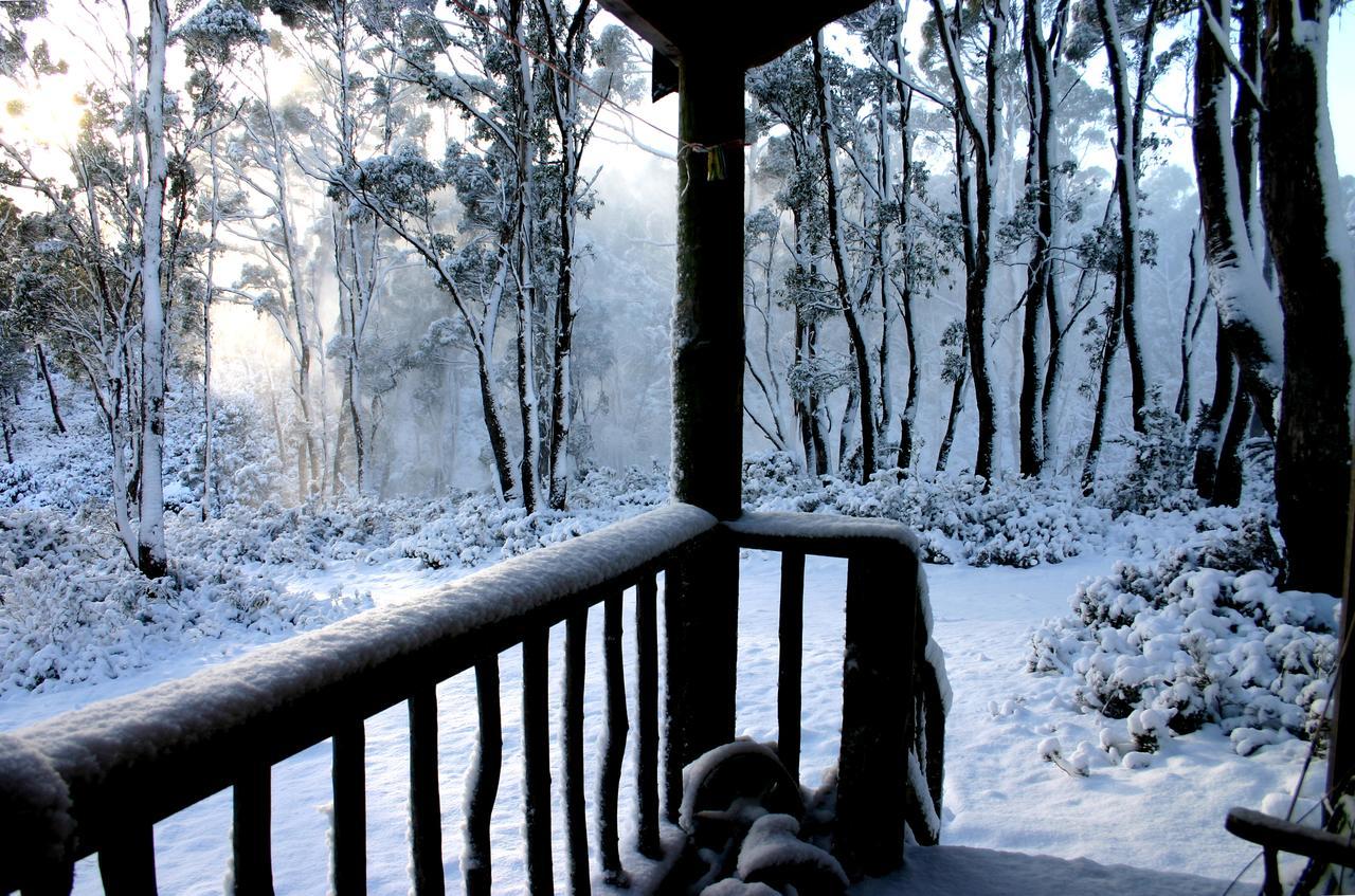 Wombat Cabin Villa Moina Buitenkant foto