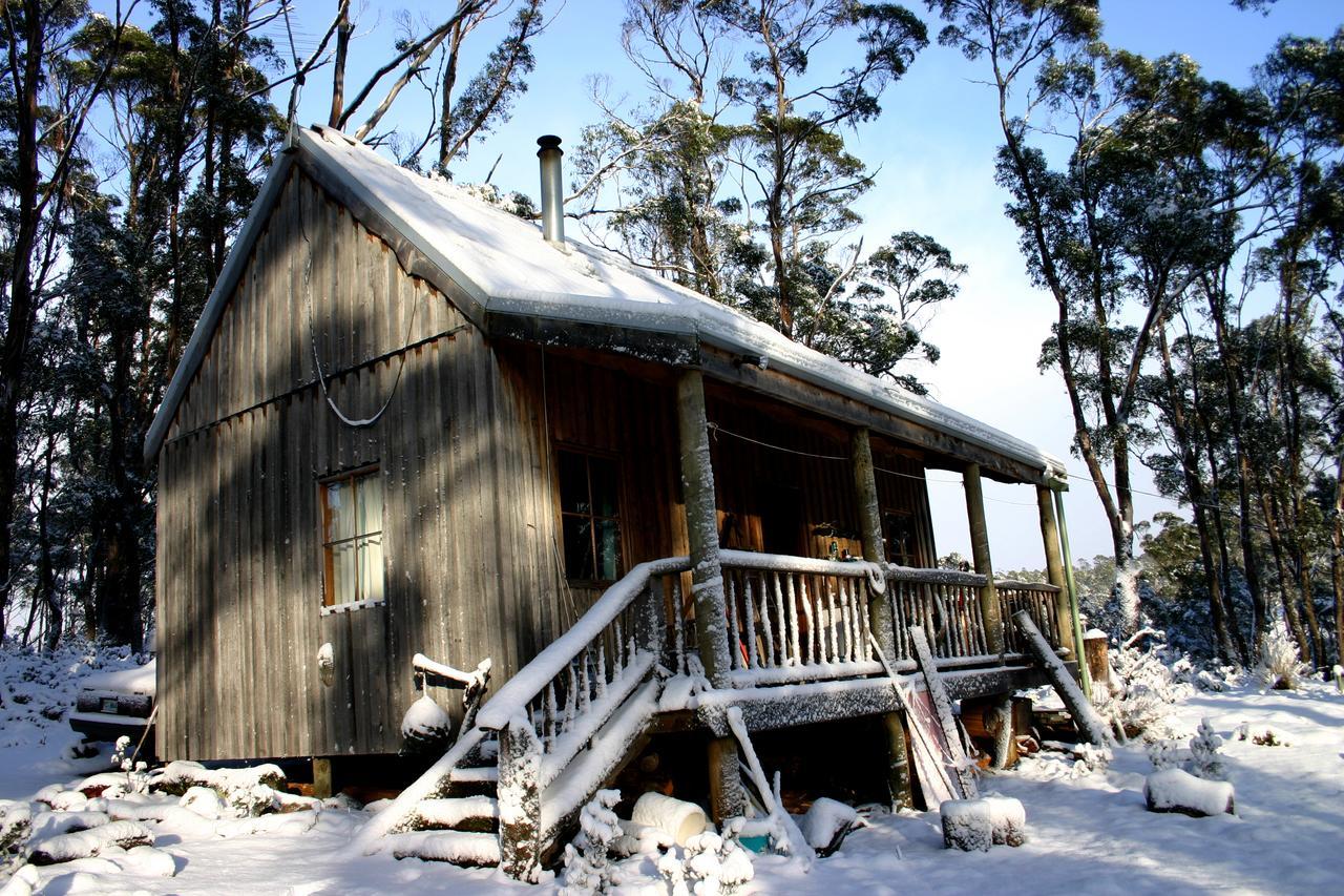 Wombat Cabin Villa Moina Buitenkant foto