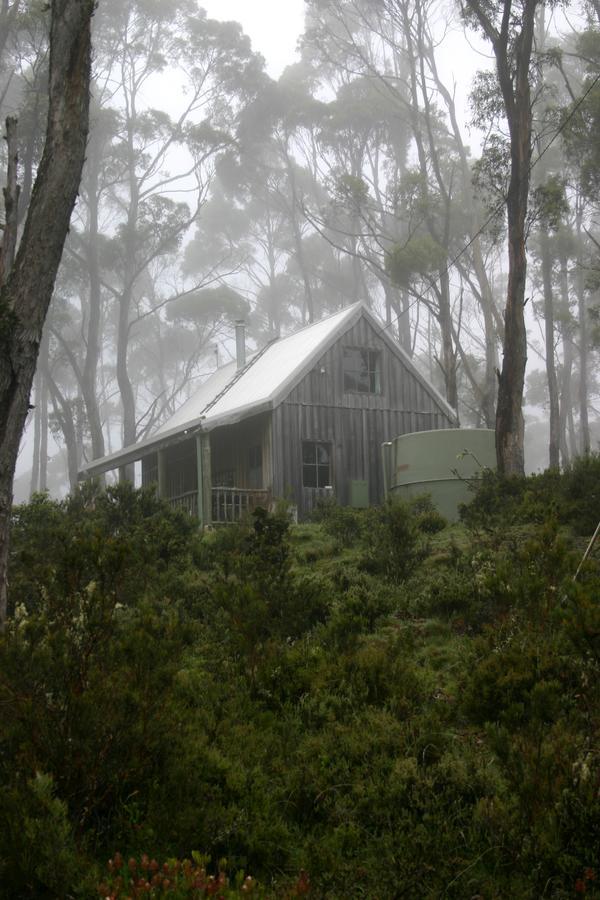 Wombat Cabin Villa Moina Buitenkant foto