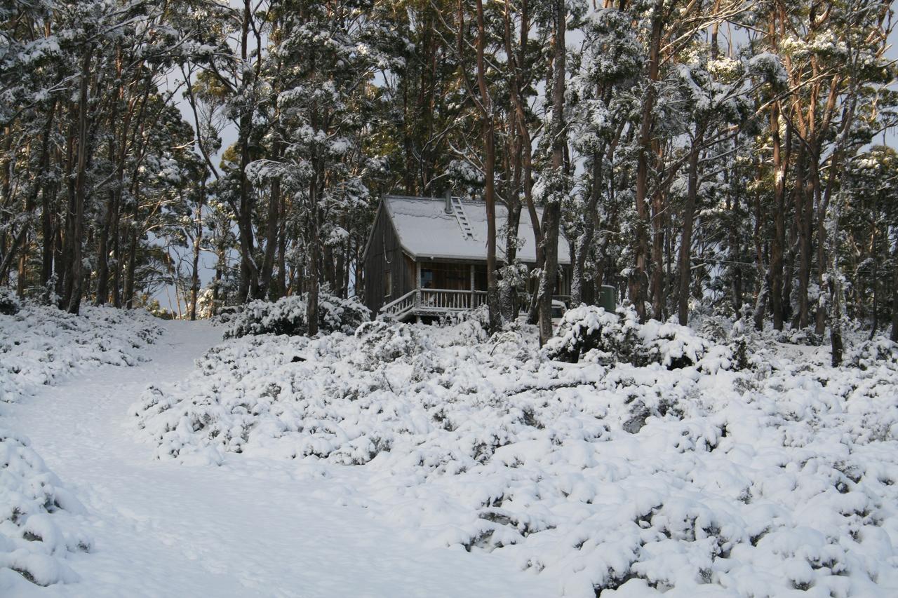 Wombat Cabin Villa Moina Buitenkant foto